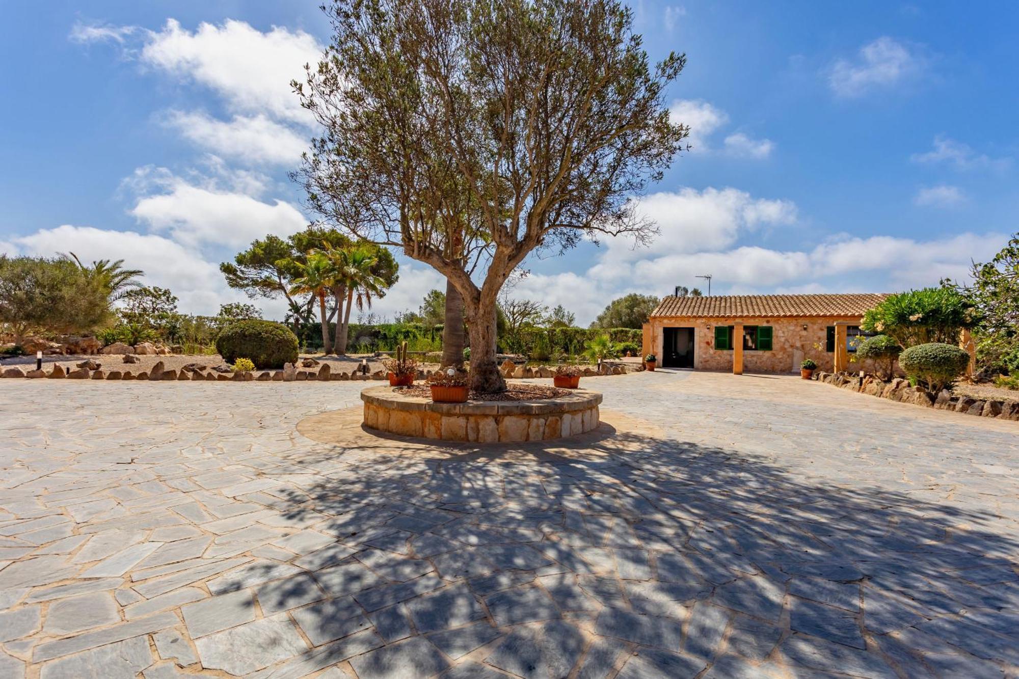 Can Talaia By Dracmallorca Cala Figuera  Exteriér fotografie